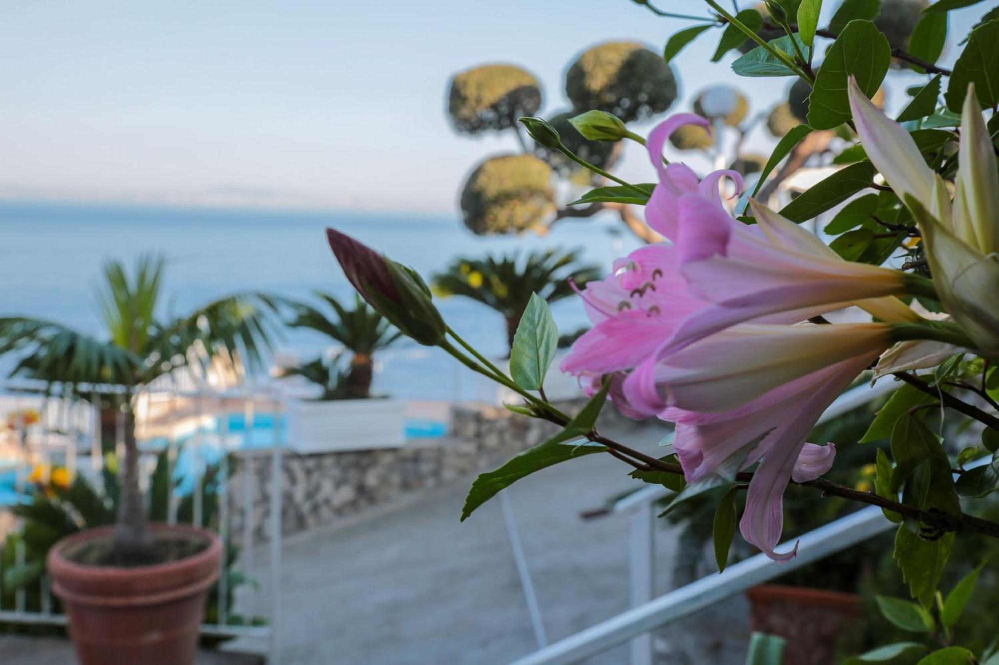 Hotel Villa Lubrense Sorrento Massa Lubrense Exterior foto